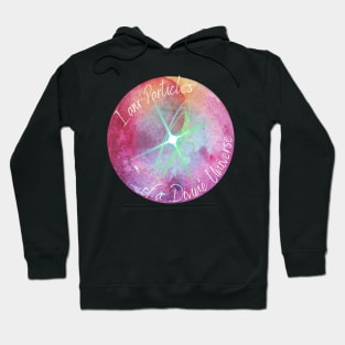 I am Particles of a Divine Universe Hoodie